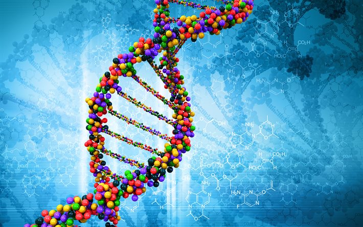 Introduction of DNA into Living Cells